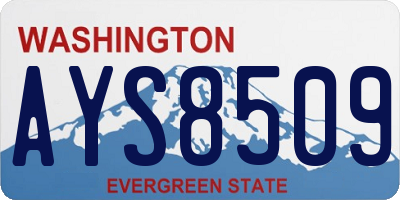 WA license plate AYS8509