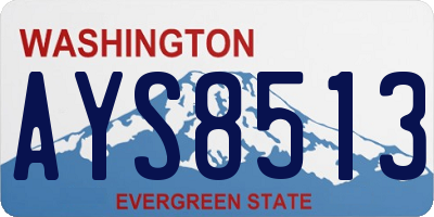 WA license plate AYS8513