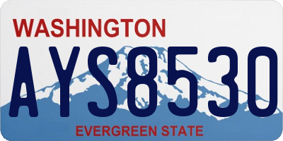 WA license plate AYS8530
