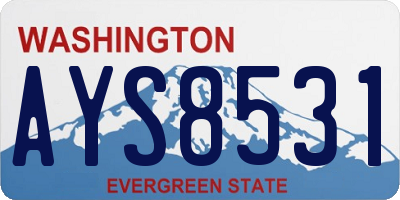 WA license plate AYS8531