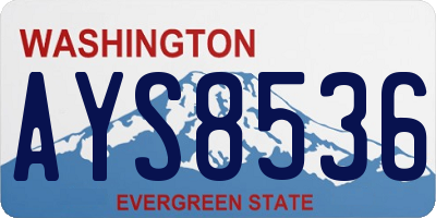 WA license plate AYS8536