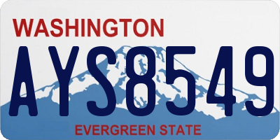 WA license plate AYS8549