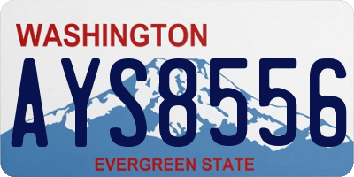 WA license plate AYS8556