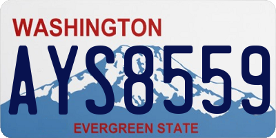 WA license plate AYS8559