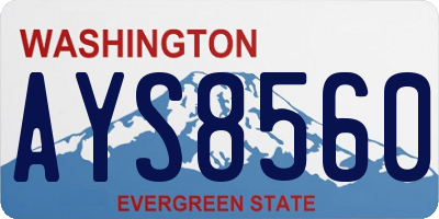 WA license plate AYS8560