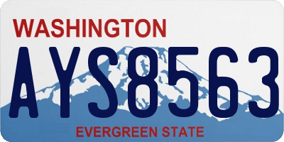 WA license plate AYS8563