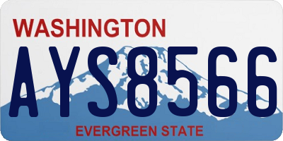 WA license plate AYS8566
