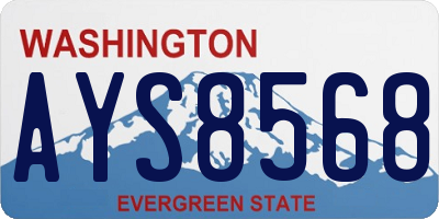 WA license plate AYS8568