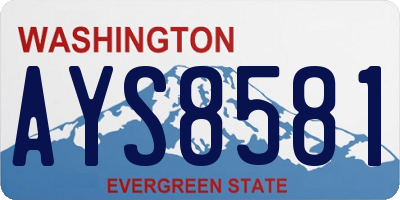 WA license plate AYS8581
