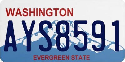 WA license plate AYS8591