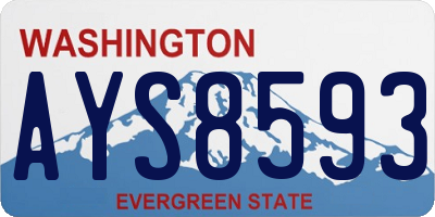 WA license plate AYS8593