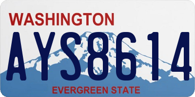 WA license plate AYS8614
