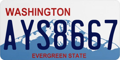 WA license plate AYS8667