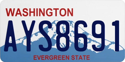 WA license plate AYS8691
