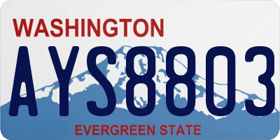 WA license plate AYS8803