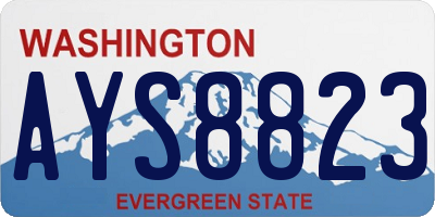 WA license plate AYS8823