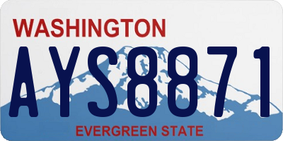 WA license plate AYS8871