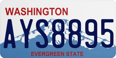 WA license plate AYS8895