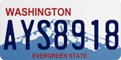WA license plate AYS8918