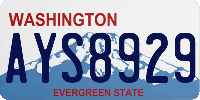 WA license plate AYS8929