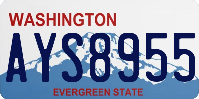 WA license plate AYS8955