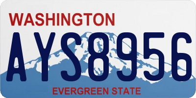 WA license plate AYS8956