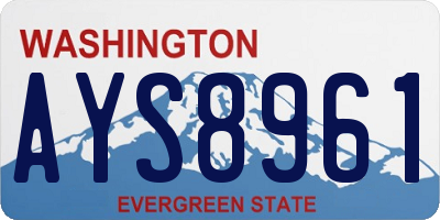 WA license plate AYS8961