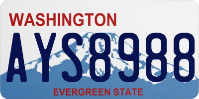 WA license plate AYS8988