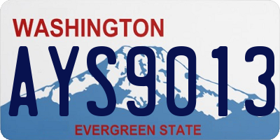 WA license plate AYS9013