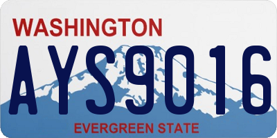 WA license plate AYS9016