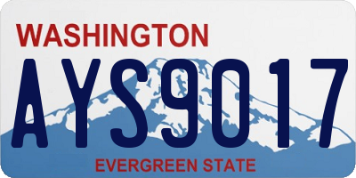 WA license plate AYS9017