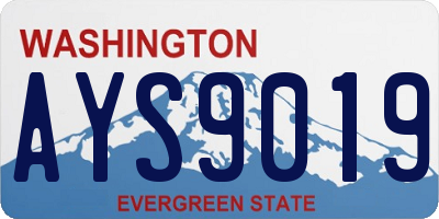 WA license plate AYS9019