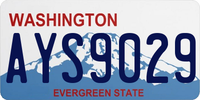 WA license plate AYS9029