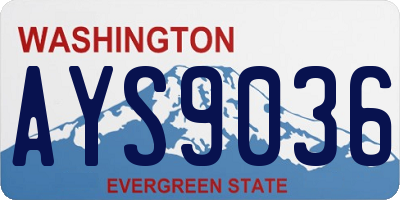 WA license plate AYS9036