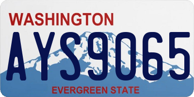 WA license plate AYS9065