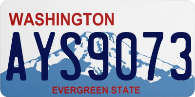 WA license plate AYS9073