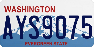 WA license plate AYS9075