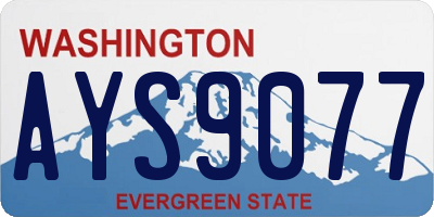 WA license plate AYS9077