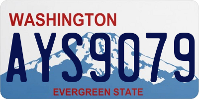 WA license plate AYS9079