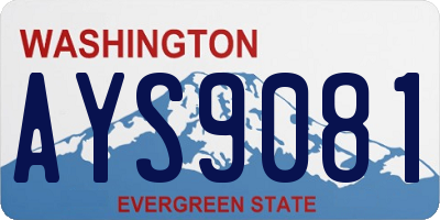 WA license plate AYS9081