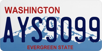 WA license plate AYS9099