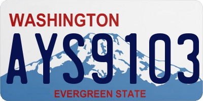 WA license plate AYS9103