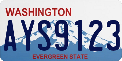 WA license plate AYS9123