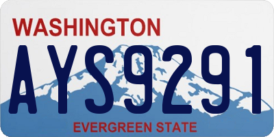 WA license plate AYS9291