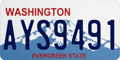 WA license plate AYS9491