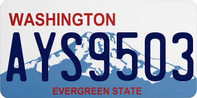 WA license plate AYS9503