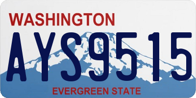 WA license plate AYS9515
