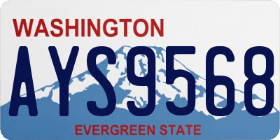 WA license plate AYS9568