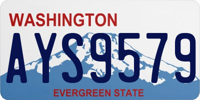 WA license plate AYS9579