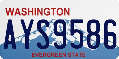 WA license plate AYS9586